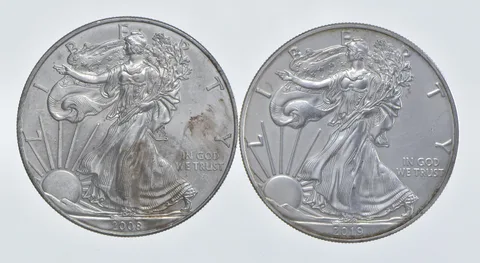 2008 - 2019 American Silver Eagle 1 T Oz .999 Lot of 2 *263