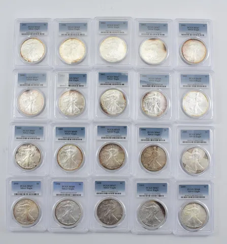 Lot (20) Nice Tone American Silver Eagle PCGS Holder *2895