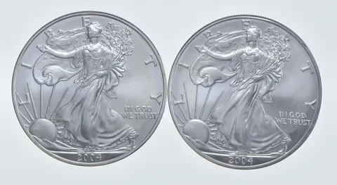 2004 - 2004 American Silver Eagle 1 T Oz .999 Lot of 2 *262