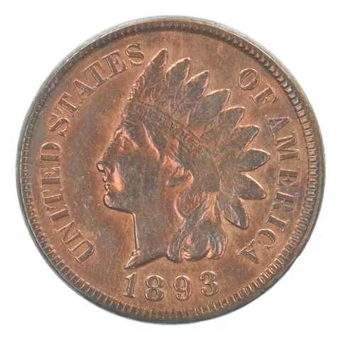 1893 Indian Head Cent Beautiful Tone *4196