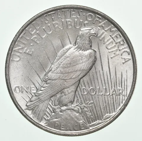 (1) BU PEACE Silver Dollar 1922-1925 Unc MS - 90% US Coin Lot Buy in Bulk