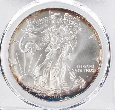 2002 American Silver Eagle MS69 PCGS Peripheral Tone *1133