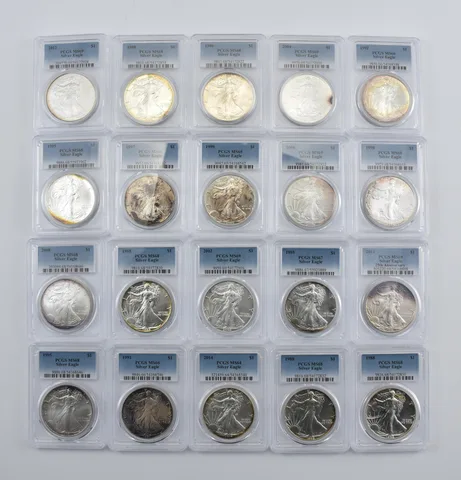 Lot (20) Nice Tone American Silver Eagle PCGS Holder *1988