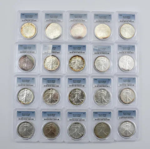 Lot (20) Nice Tone American Silver Eagle PCGS Holder *2882