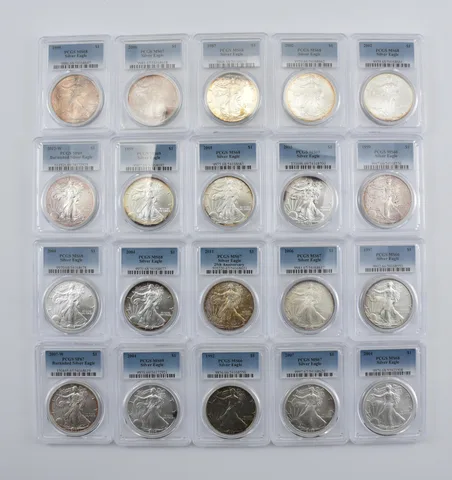 Lot (20) Nice Tone American Silver Eagle PCGS Holder *1987