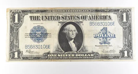 1923 $1 Silver Certificate Large Note Blue Seal *2976