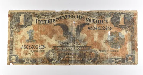 1899 $1 Silver Certificate Black Eagle Blue Seal Large Note Fr#226a *4629