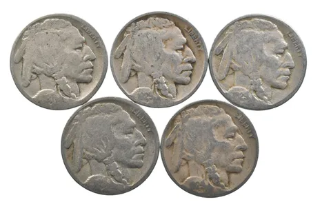 BETTER Lot 1927-D 1929-D 1929-S 1928-S 1929-D Buffalo Nickel Collection *173