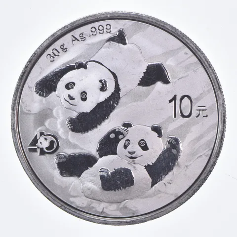 Better Date 2022 China 10 Yuan 30 Grams Silver Panda World Coin- Silver *737