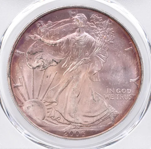 2006 American Silver Eagle MS65 PCGS Beautiful Tone *1448