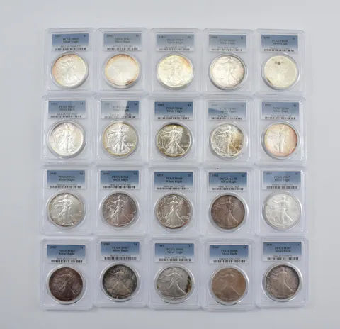 Lot (20) Nice Tone American Silver Eagle PCGS Holder *2904