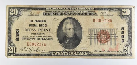 1929 $20 National Currency Note Moss Point MI Ch#8593 *8533