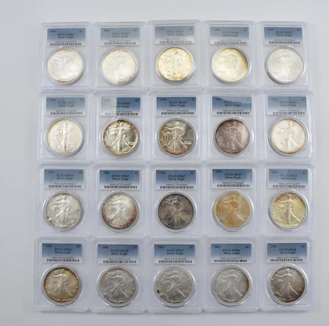 Lot (20) Nice Tone American Silver Eagle PCGS Holder *2893