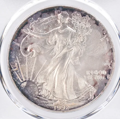 1992 American Silver Eagle MS66 PCGS Beautiful Tone *1391
