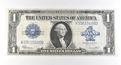 1923 $1 Silver Certificate Large Note Blue Seal *2971