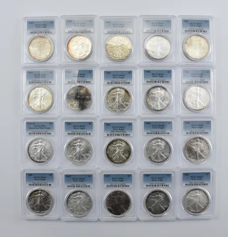 Lot (20) Nice Tone American Silver Eagle PCGS Holder *2004