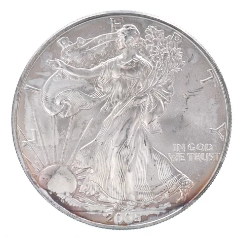 Beautiful Toned - 2005 American Silver Eagle 1 Troy Oz .999 Fine Silver *101
