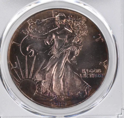 1989 American Silver Eagle MS69 PCGS Beautiful Tone *1127