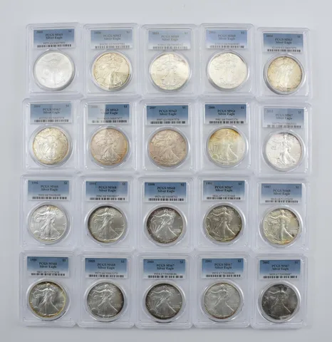 Lot (20) Nice Tone American Silver Eagle PCGS Holder *2884
