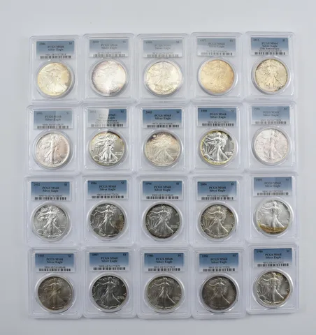 Lot (20) Nice Tone American Silver Eagle PCGS Holder *1989