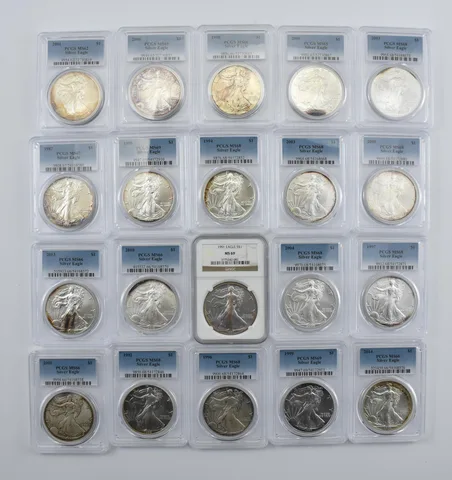 Lot (20) Nice Tone American Silver Eagle 19 PCGS 1 NGC Holder *2001