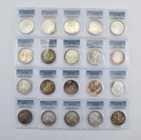 Lot (20) Nice Tone American Silver Eagle PCGS Holder *2912