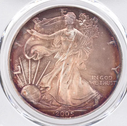 2005 American Silver Eagle MS63 PCGS Beautiful Tone *1511