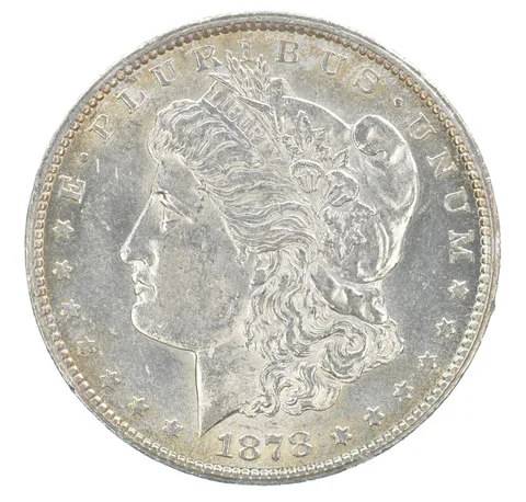 1878-CC Morgan Silver Dollar Peripheral Tone *9758