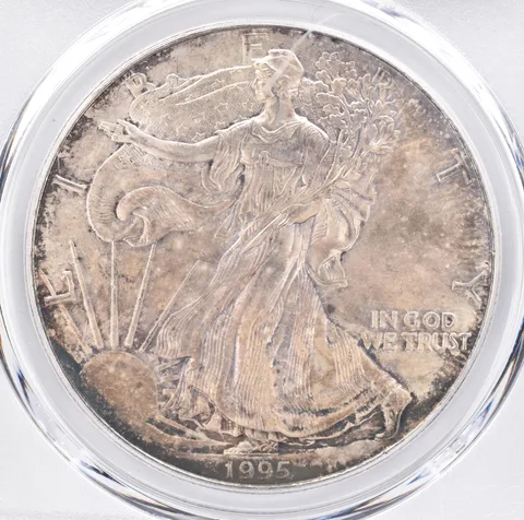 1995 American Silver Eagle MS66 PCGS Beautiful Tone *1408