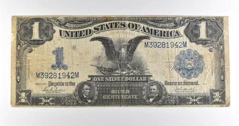 1899 $1 Silver Certificate Black Eagle Blue Seal Large Note *4507