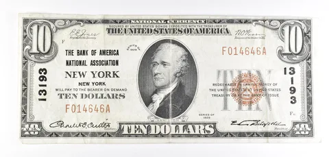 1929 $10 New York, NY National Currency Note Brown Seal 13193 a5746