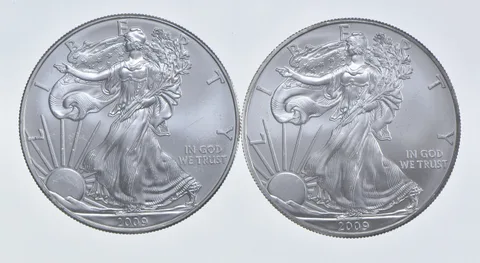 2009 - 2009 American Silver Eagle 1 T Oz .999 Lot of 2 *237