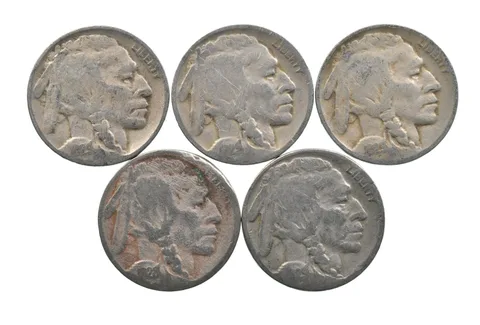 BETTER Lot 1929-D 1929-D 1929-D 1928-D 1929-S Buffalo Nickel Collection *167