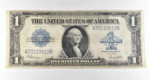 1923 $1 Silver Certificate Large Note Blue Seal *2952