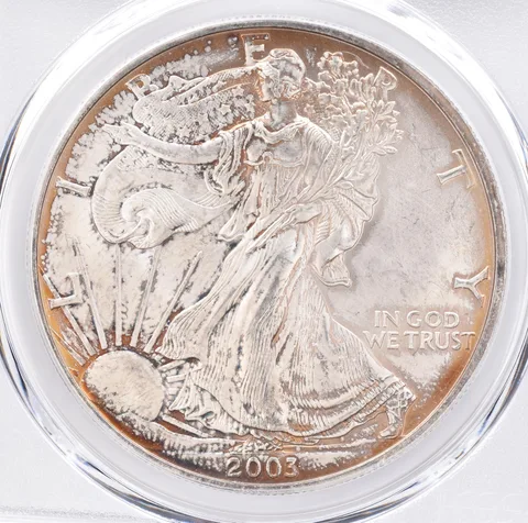 2003 American Silver Eagle MS66 PCGS Beautiful Tone *1409