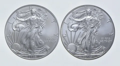 2008 - 2011 American Silver Eagle 1 T Oz .999 Lot of 2 *265