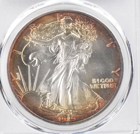 1989 American Silver Eagle MS69 PCGS Peripheral Tone *1138