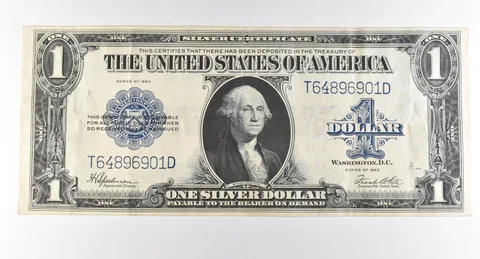 1923 $1 Silver Certificate Large Note Blue Seal *3006