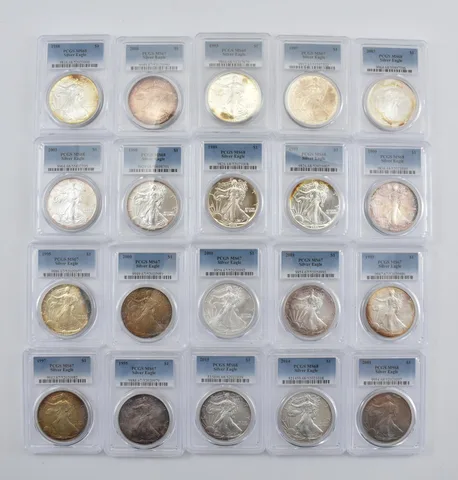 Lot (20) Nice Tone American Silver Eagle PCGS Holder *2905