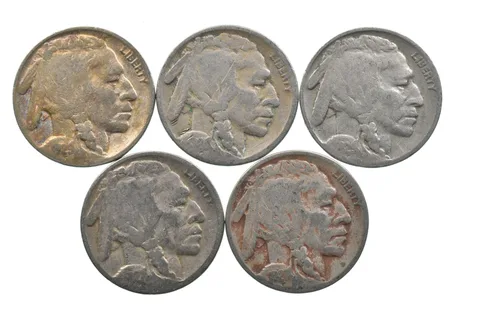 BETTER Lot 1929-D 1928-S 1929-S 1927-S 1927-D Buffalo Nickel Collection *172
