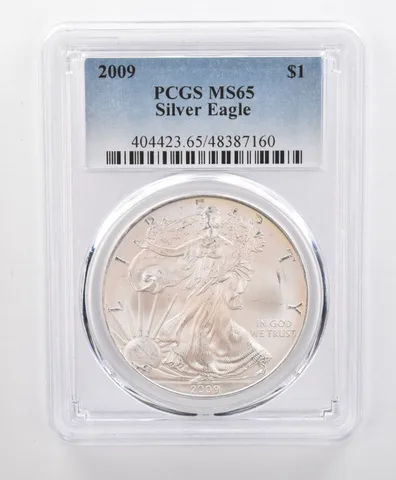 MS65 2009 American Silver Eagle PCGS Beautifully Toned Soft Pink Sheen a0182
