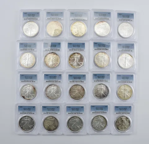 Lot (20) Nice Tone American Silver Eagle PCGS Holder *2898