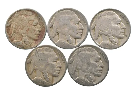 BETTER Lot 1928-S 1927-D 1929-S 1929-D 1929-S Buffalo Nickel Collection *151