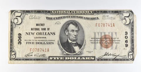 1929 $5 New Orleans LA National Currency Ch#3069 Brown Seal *1188