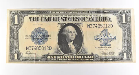 1923 $1 Silver Certificate Large Note Blue Seal *3691