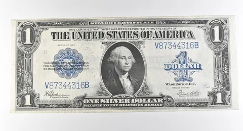 1923 $1 Silver Certificate Large Note Blue Seal *2944
