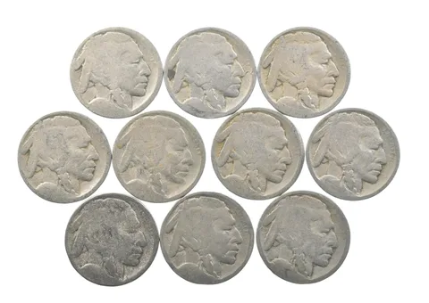 Lot 10 5c RAISED GROUND 1913 Buffalo Nickels First Year Issue! May be P/D/S *643