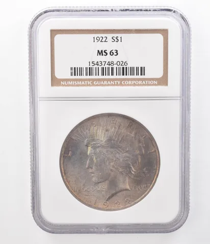 1922 Peace Silver Dollar MS63 NGC Beautifully Toned a8362