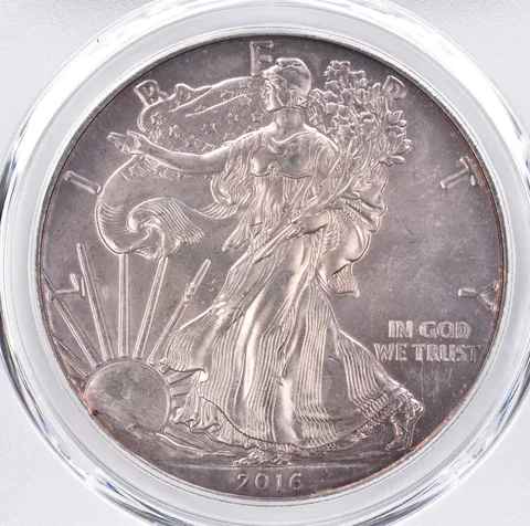 2016 American Silver Eagle MS64 PCGS Beautiful Tone *1494