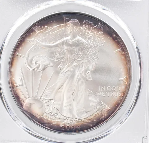 2004 American Silver Eagle MS69 PCGS Peripheral Tone *1140